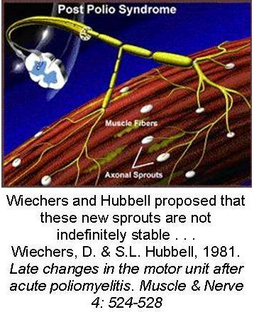 Mechanism of Post-Polio Syndrome